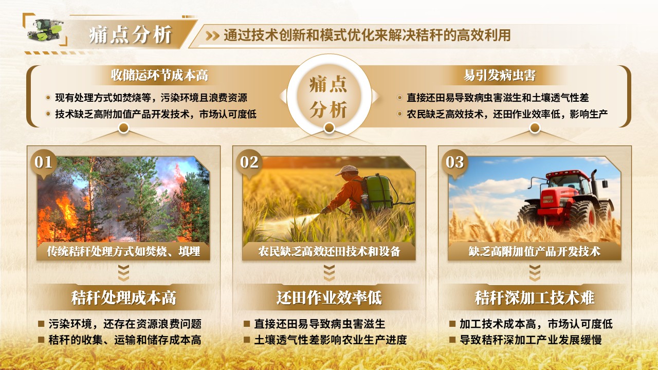《“秸”能环保，“秆”为人先》大创赛第5页预览图