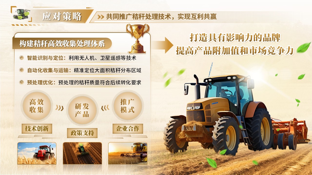 《“秸”能环保，“秆”为人先》大创赛第6页预览图