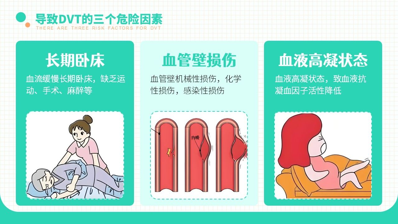 20-长期卧床患者下肢深静脉血栓的评估及预防策略第9页预览