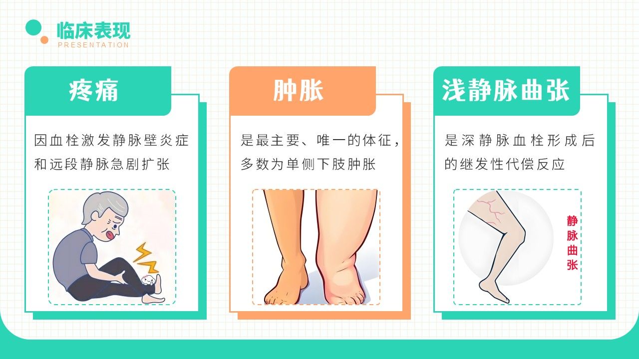 20-长期卧床患者下肢深静脉血栓的评估及预防策略第10页预览