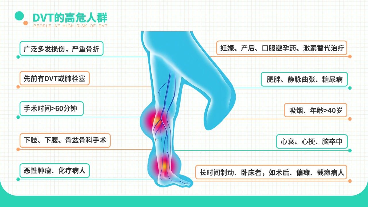 20-长期卧床患者下肢深静脉血栓的评估及预防策略第12页预览