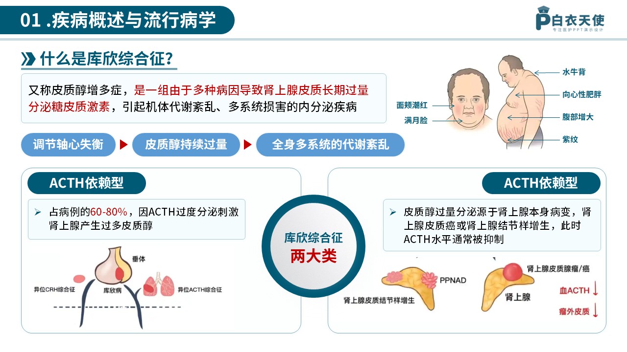 77-库欣综合征医护科普第3页预览