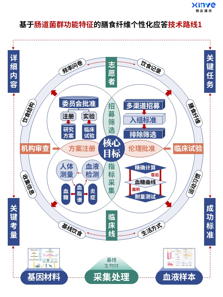 60-2科研架构图 (肠道菌群功能-蓝橙绿)第1页预览图