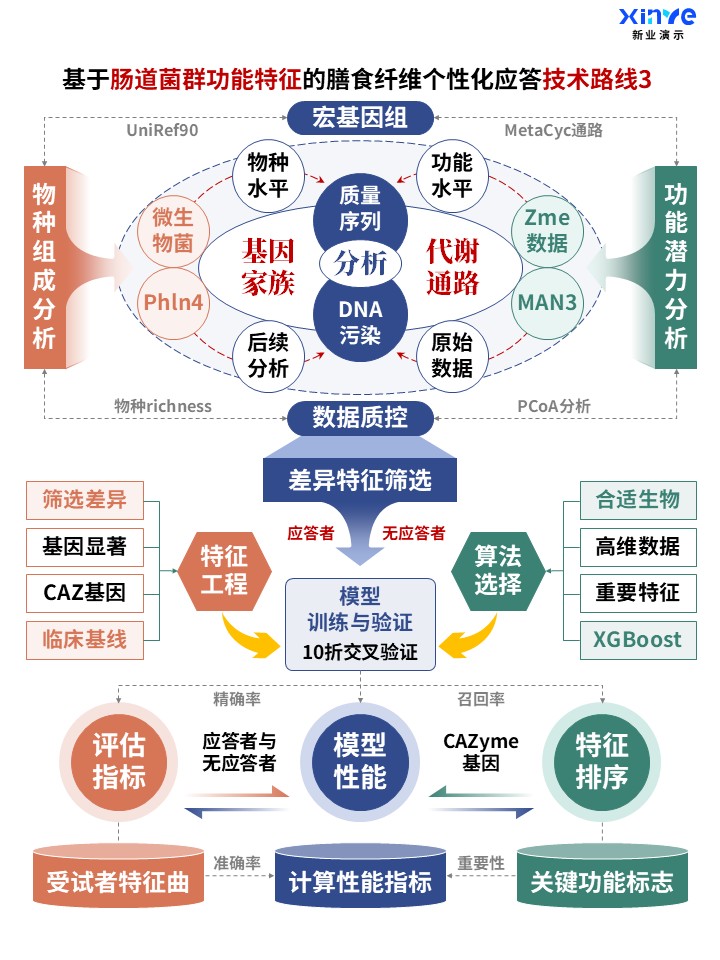 60-2科研架构图 (肠道菌群功能-蓝橙绿)第3页预览图