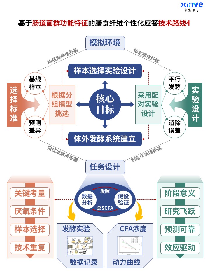 60-2科研架构图 (肠道菌群功能-蓝橙绿)第4页预览图