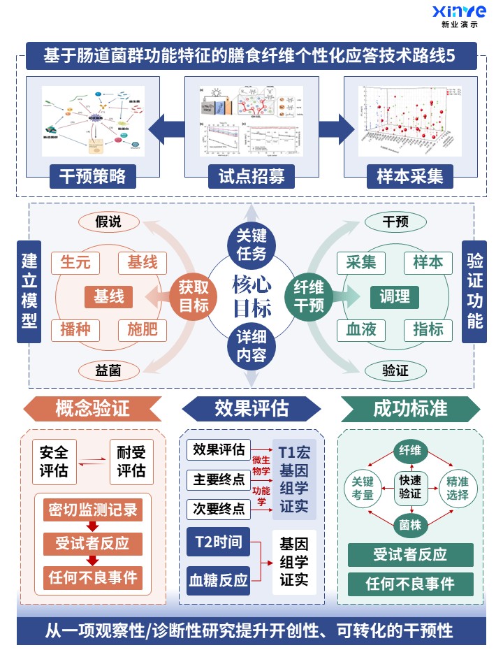 60-2科研架构图 (肠道菌群功能-蓝橙绿)第5页预览图