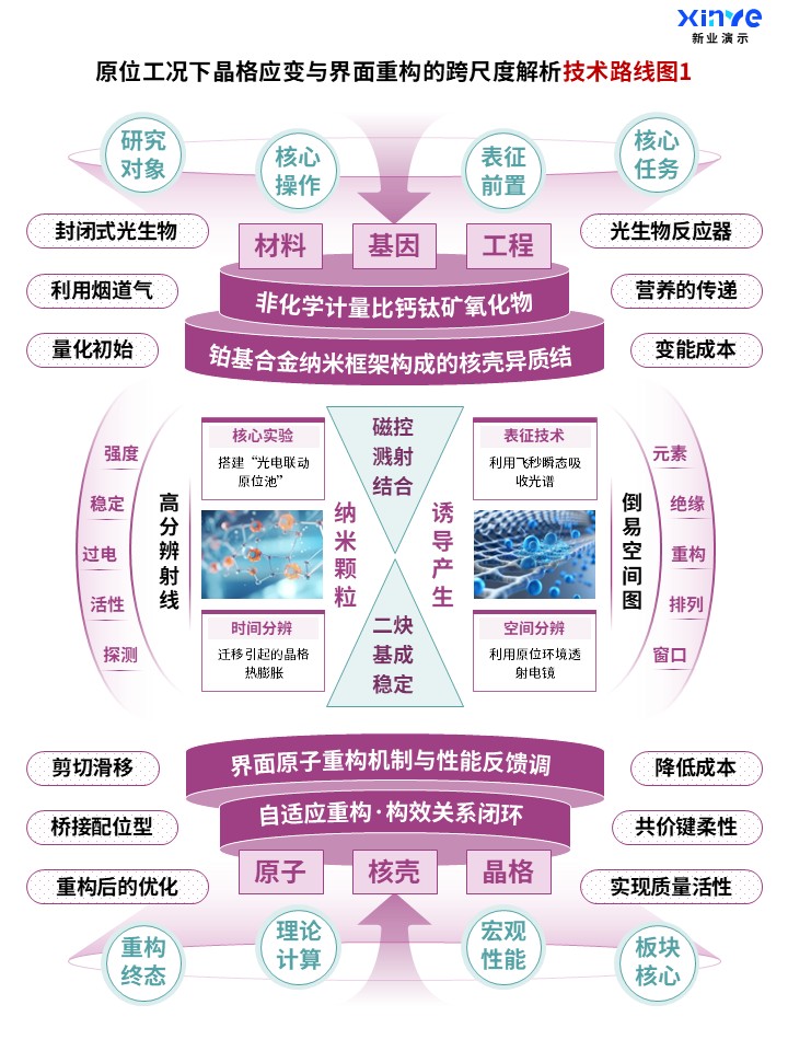 92-2科研架构图（原位表征下的晶格应变与界面重构-粉色）