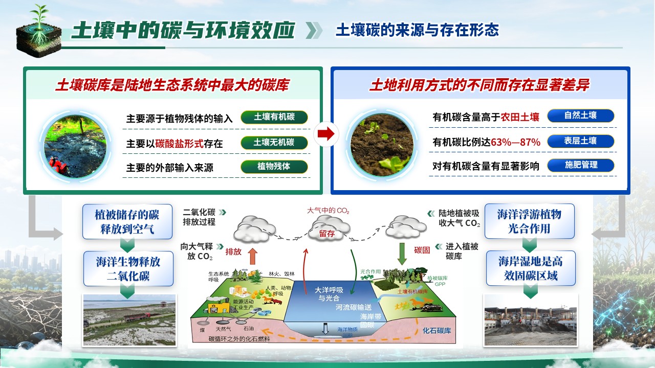 《虚仿探微，生态复绿》省级精品课第5页预览图