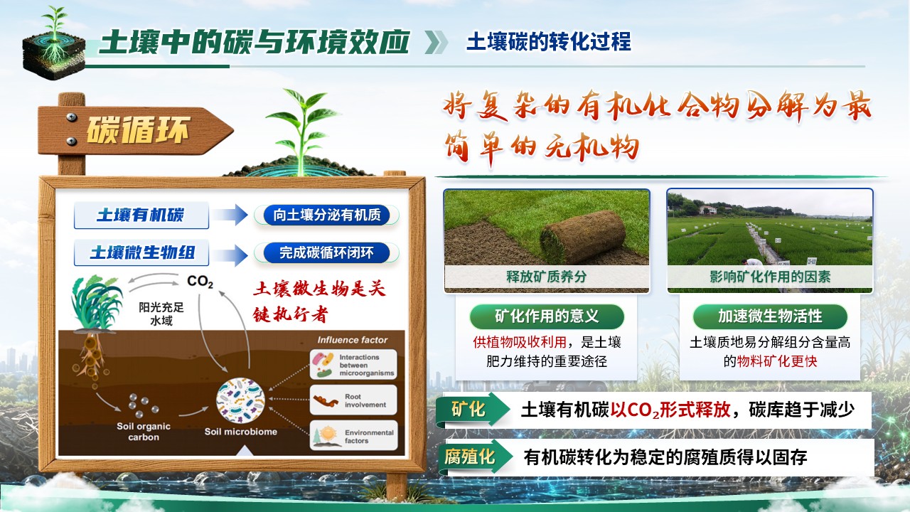 《虚仿探微，生态复绿》省级精品课第6页预览图