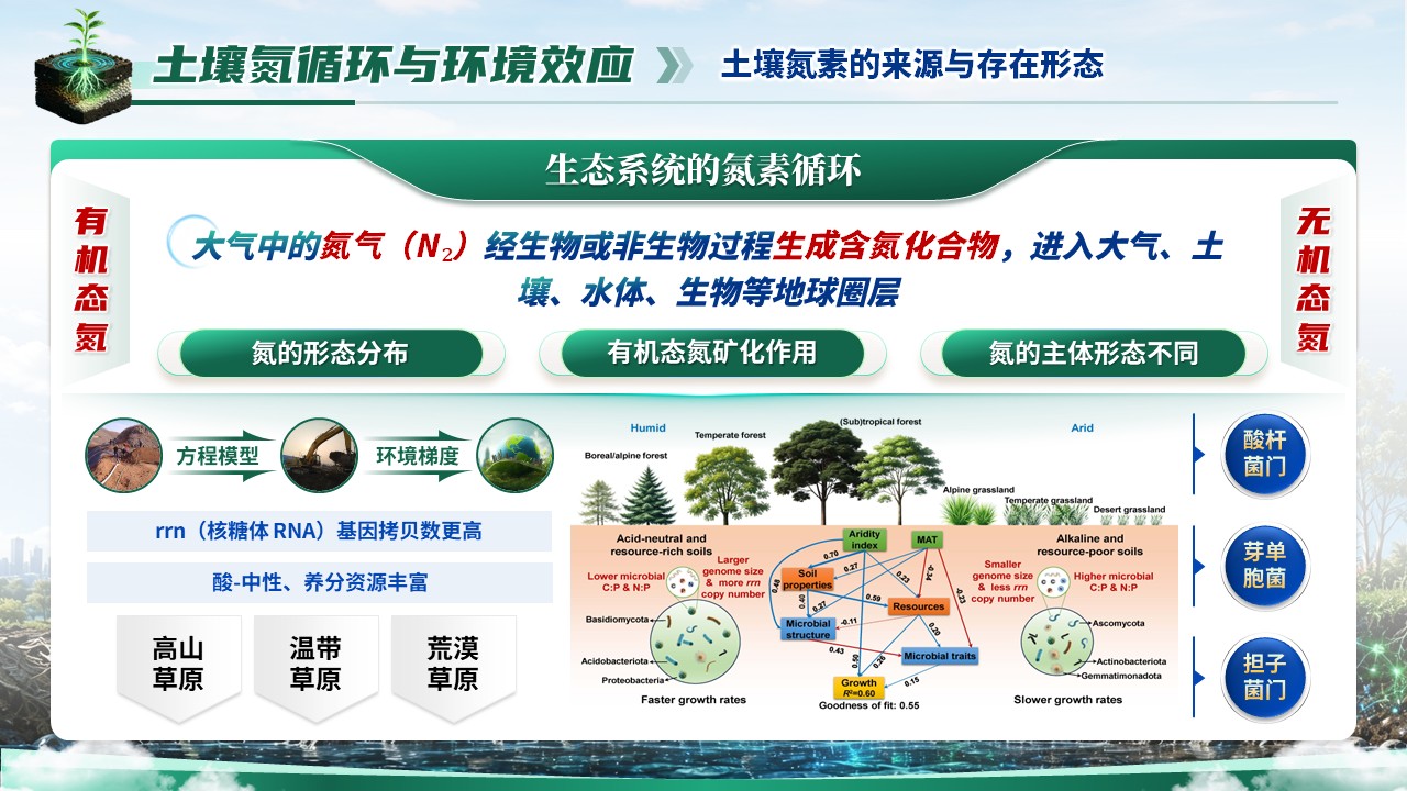 《虚仿探微，生态复绿》省级精品课第7页预览图