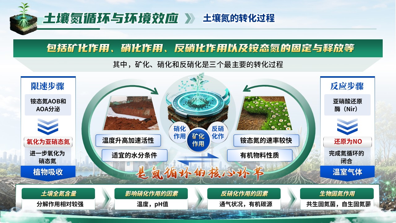 《虚仿探微，生态复绿》省级精品课第8页预览图