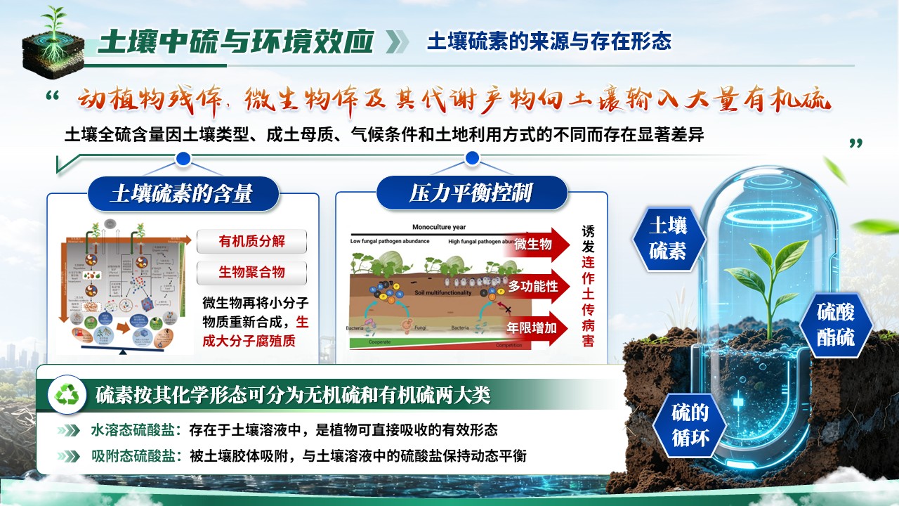 《虚仿探微，生态复绿》省级精品课第9页预览图