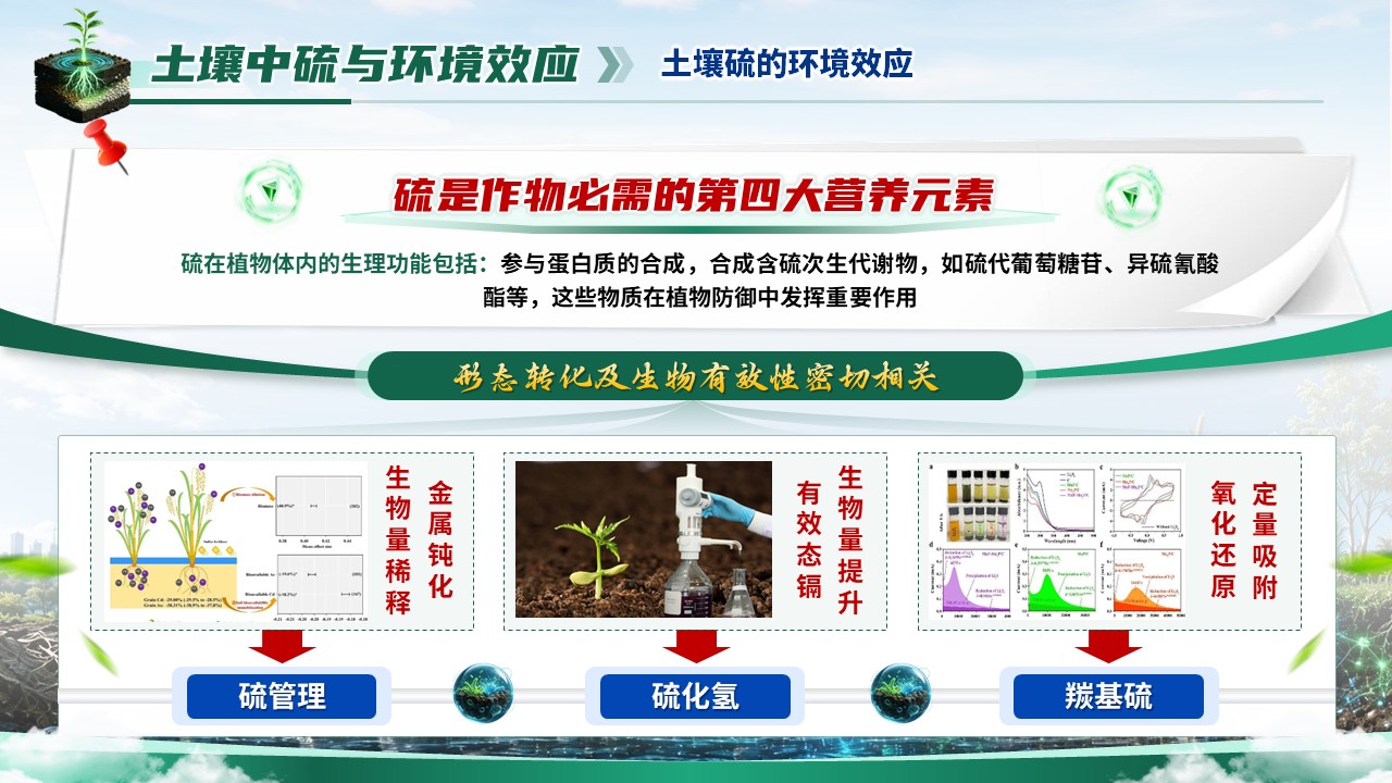 《虚仿探微，生态复绿》省级精品课第10页预览图