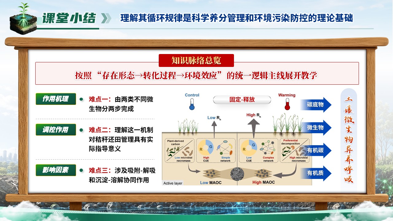 《虚仿探微，生态复绿》省级精品课第11页预览图
