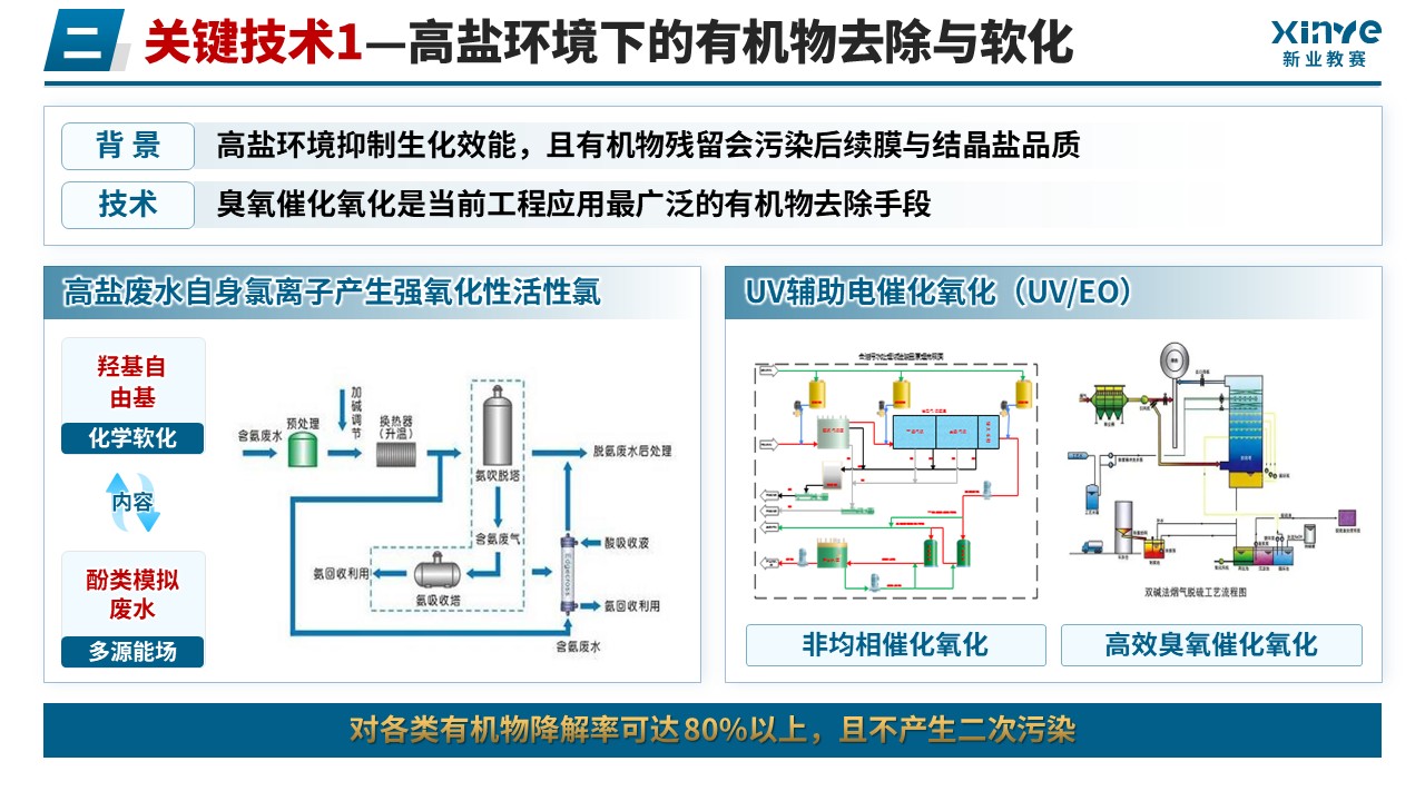 正高级工程师职称答辩（高盐废水资源化-蓝色）第7页预览图