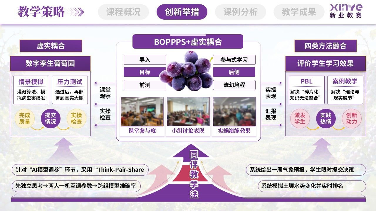 sc-《数智沃土，葡之甘露》说课第8页预览图