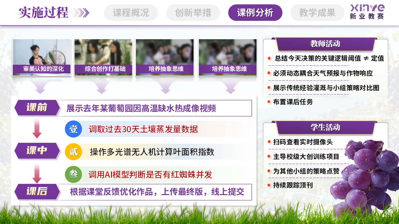 sc-《数智沃土，葡之甘露》说课第9页预览图