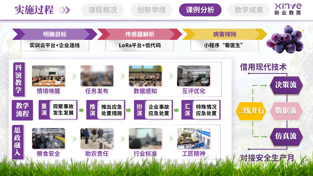 sc-《数智沃土，葡之甘露》说课第10页预览图