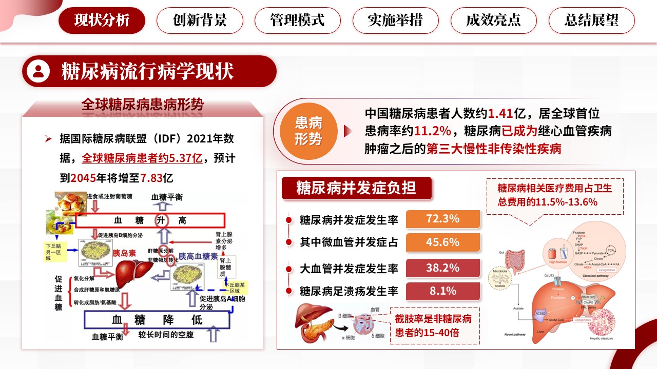 334期-护理创新成果-糖尿病慢病全域管理,创新护理服务新模式第3页预览