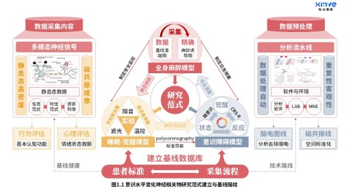 27-2科研架构图(意识水平变化神经研究-红橙灰)