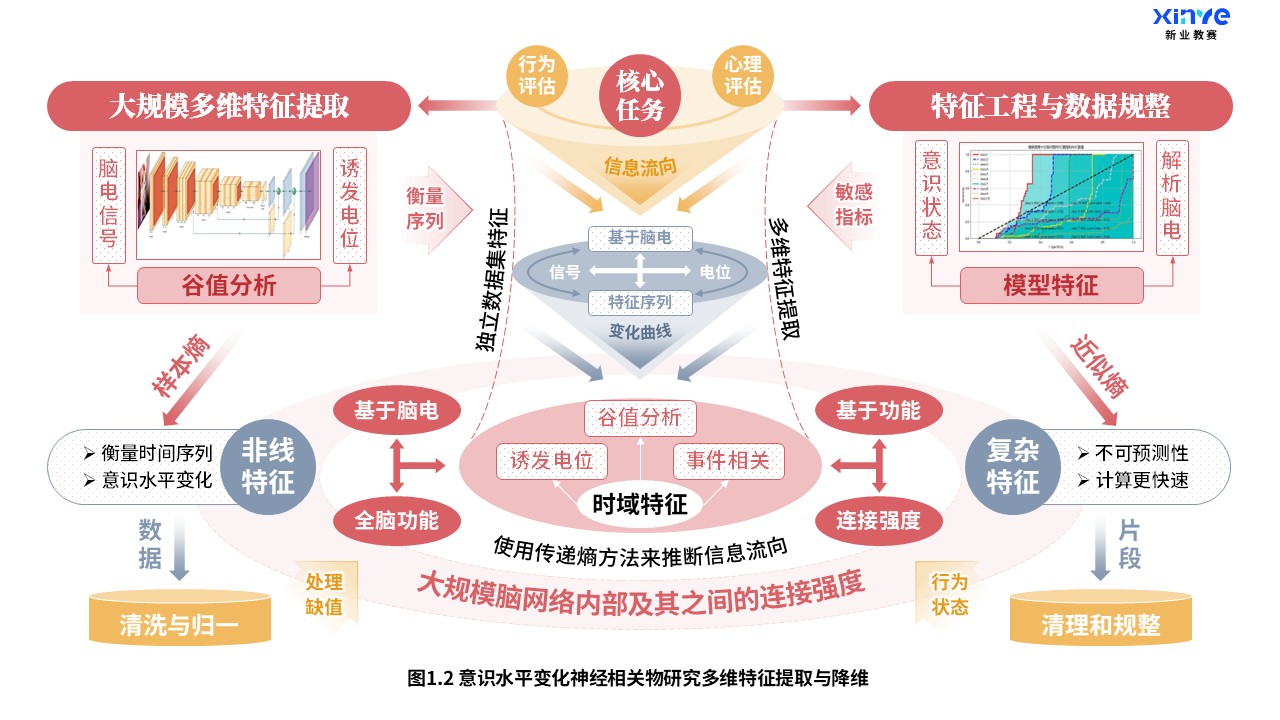 27-2科研架构图（意识水平变化神经研究-红橙灰）第2页预览图