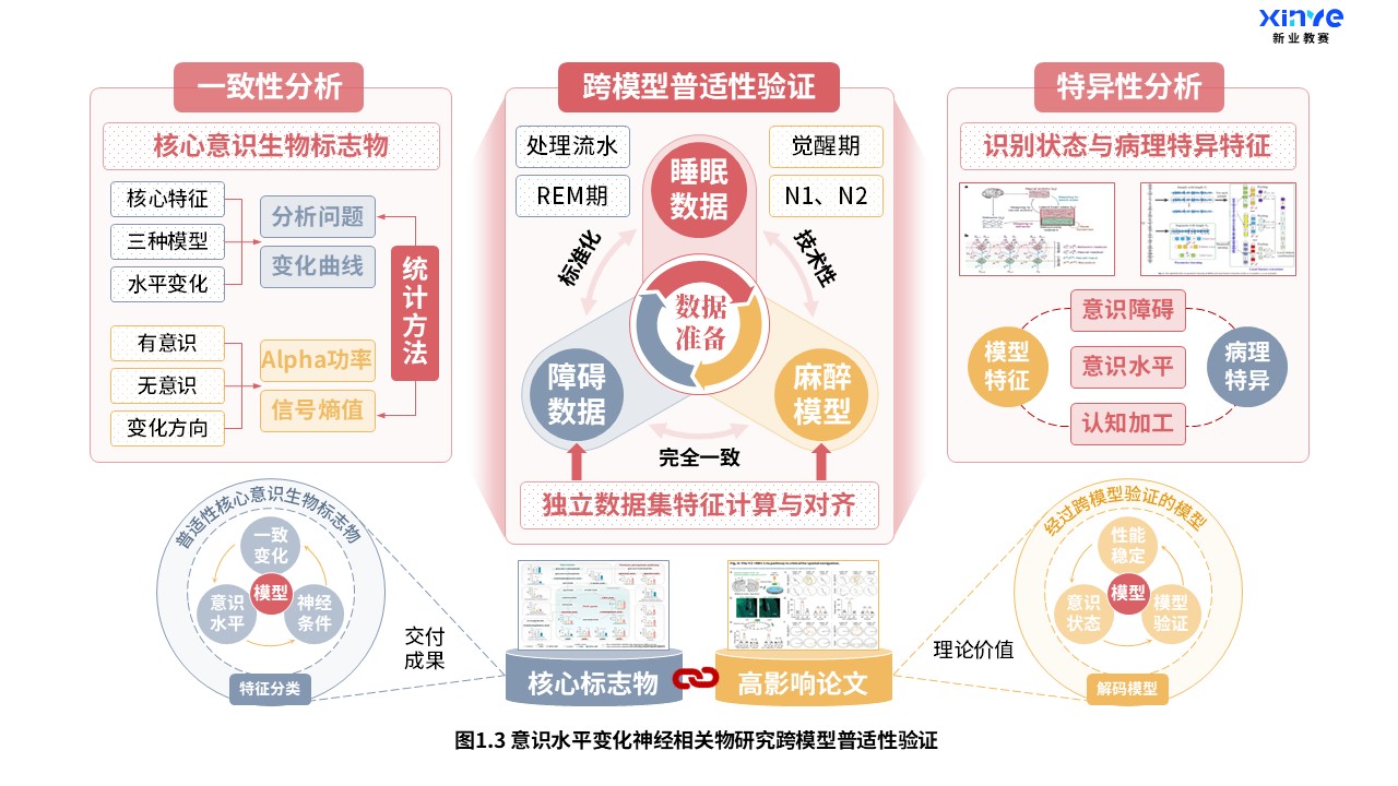 27-2科研架构图（意识水平变化神经研究-红橙灰）第3页预览图