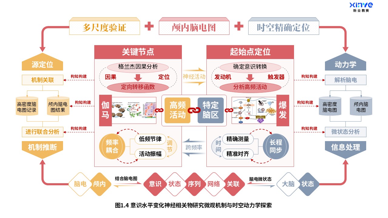 27-2科研架构图（意识水平变化神经研究-红橙灰）第4页预览图
