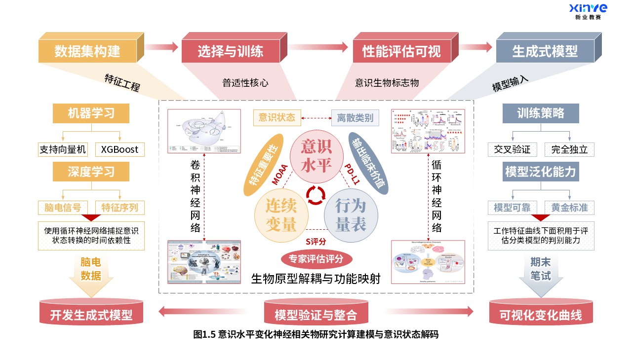 27-2科研架构图（意识水平变化神经研究-红橙灰）第5页预览图