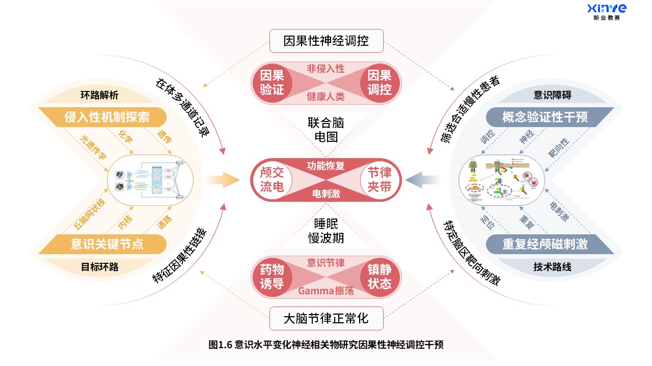 27-2科研架构图（意识水平变化神经研究-红橙灰）第6页预览图