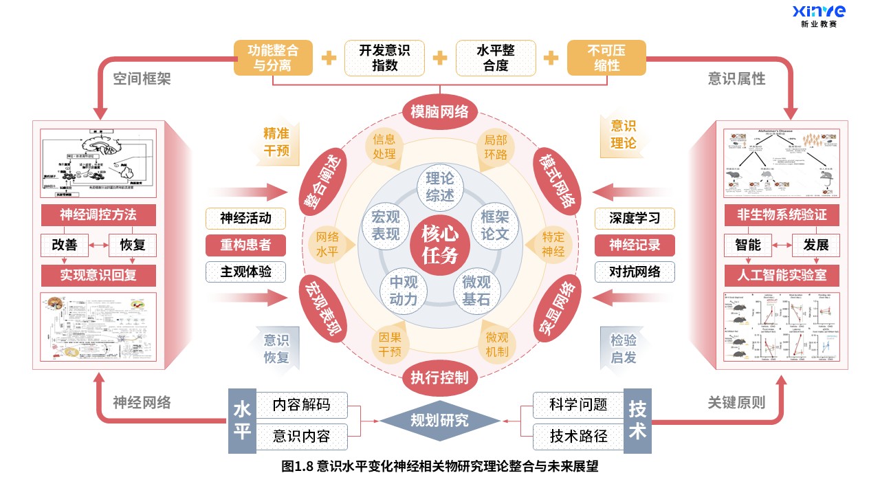 27-2科研架构图（意识水平变化神经研究-红橙灰）第8页预览图