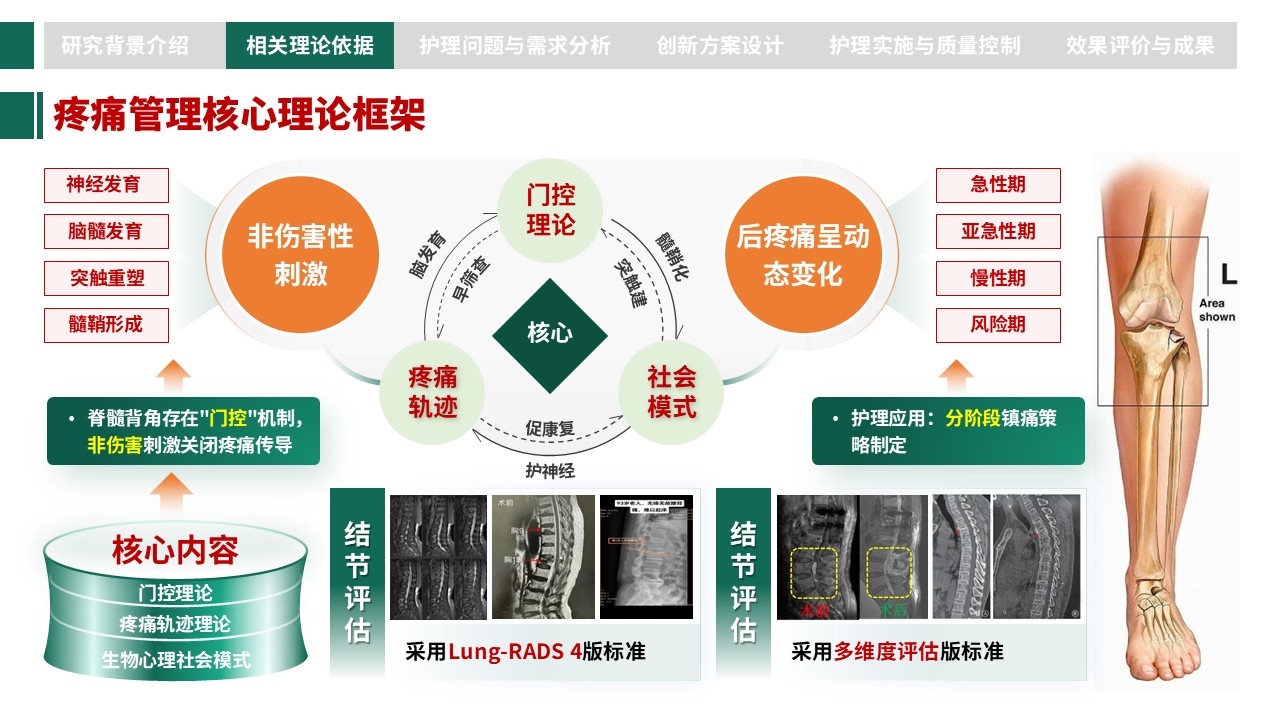 306期-护理创新成果-胸腰椎骨折术后个体化疼痛管理与康复护理创新第5页预览