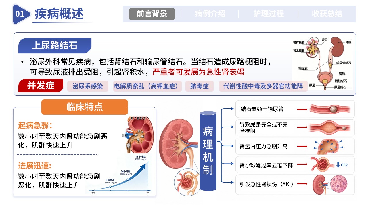 353期-护理个案-一例上尿路结石梗阻伴肾衰竭第3页预览