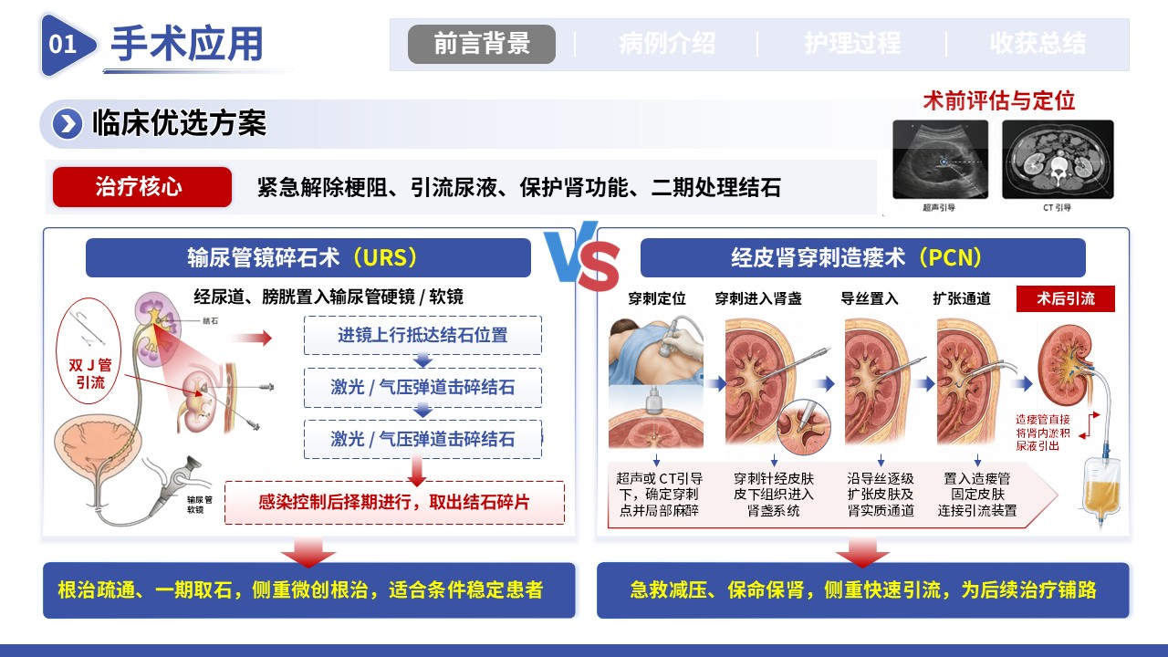 353期-护理个案-一例上尿路结石梗阻伴肾衰竭第4页预览