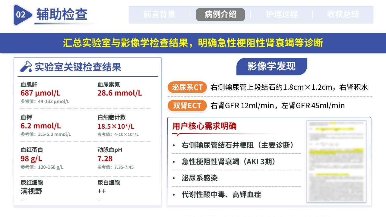 353期-护理个案-一例上尿路结石梗阻伴肾衰竭第7页预览
