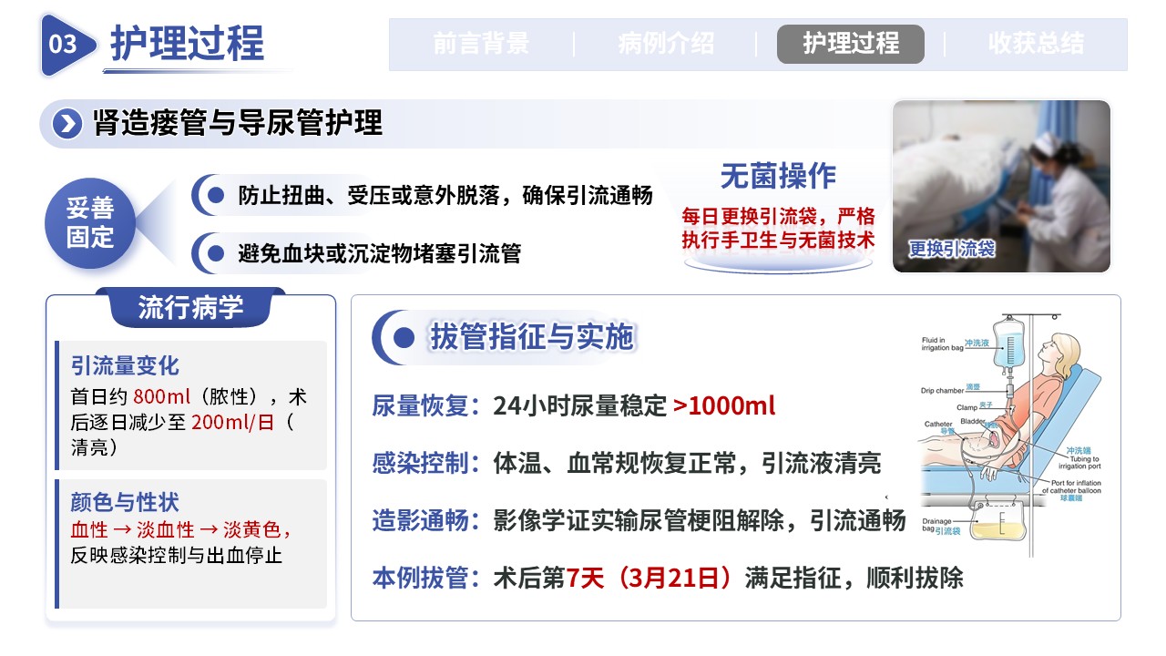 353期-护理个案-一例上尿路结石梗阻伴肾衰竭第13页预览