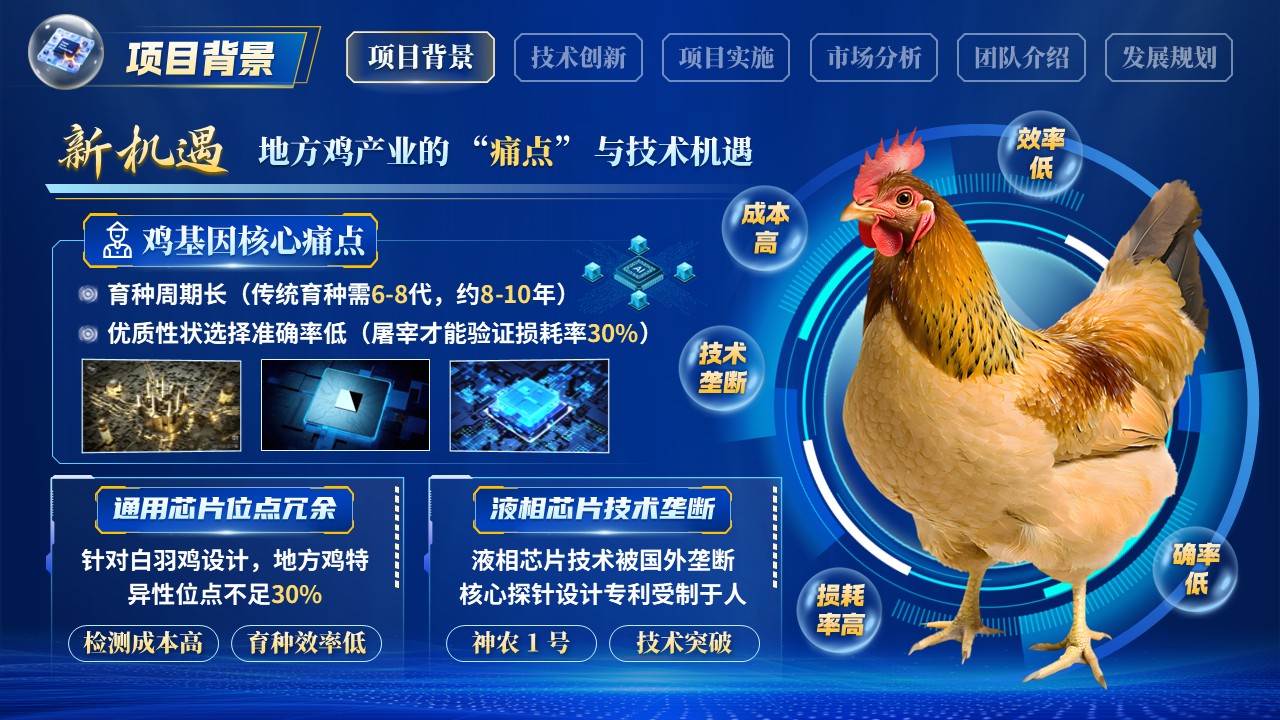 《精准育种芯片赋能》博士后创新创业大赛第3页预览图