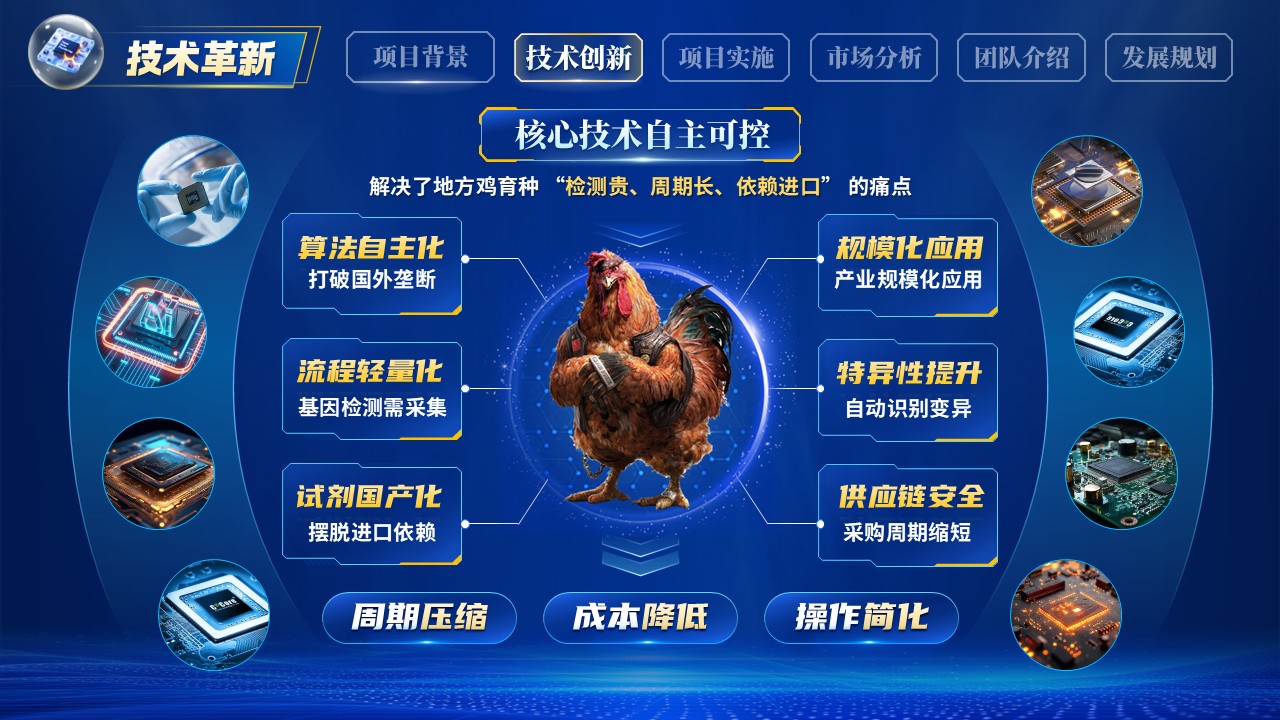 《精准育种芯片赋能》博士后创新创业大赛第5页预览图