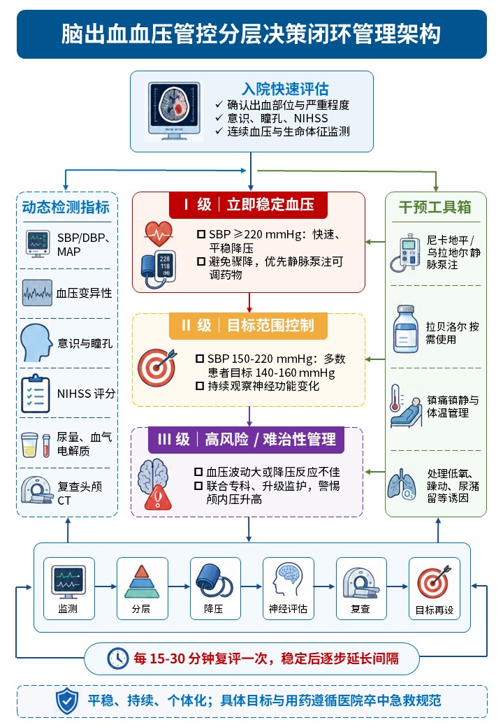 462期-流程图-多疾病决策流程图第2页预览