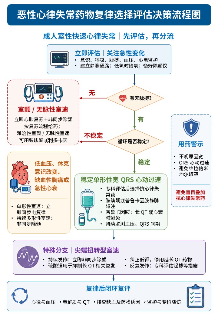 462期-流程图-多疾病决策流程图第8页预览