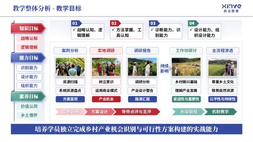 教学实施报告《乡村振兴-蓝红绿》
