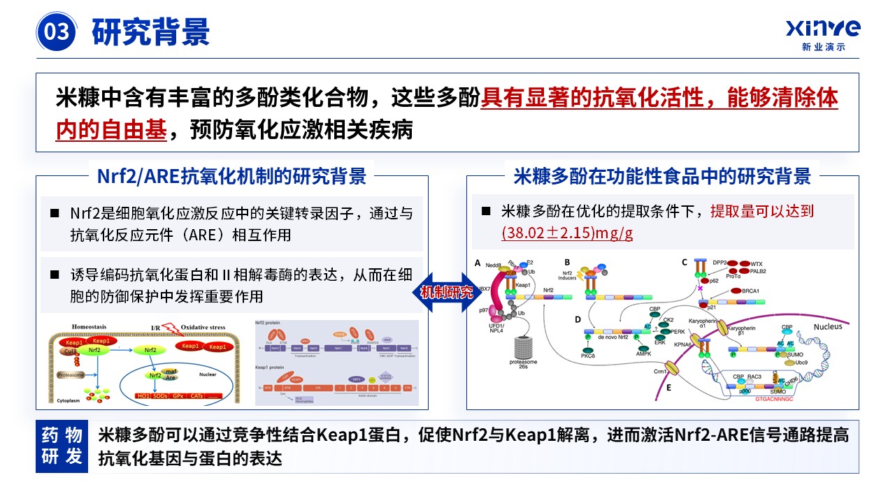 教授职称（米糠抗氧化-蓝色）第10页预览图
