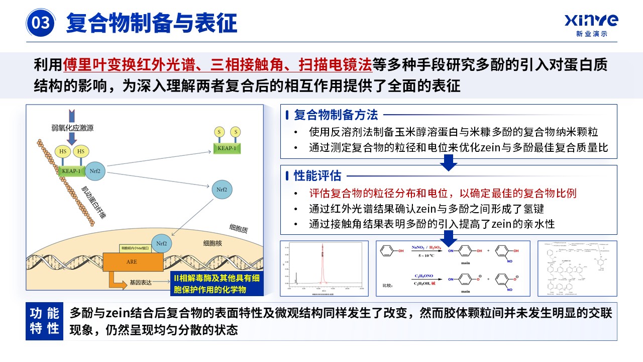 教授职称（米糠抗氧化-蓝色）第11页预览图