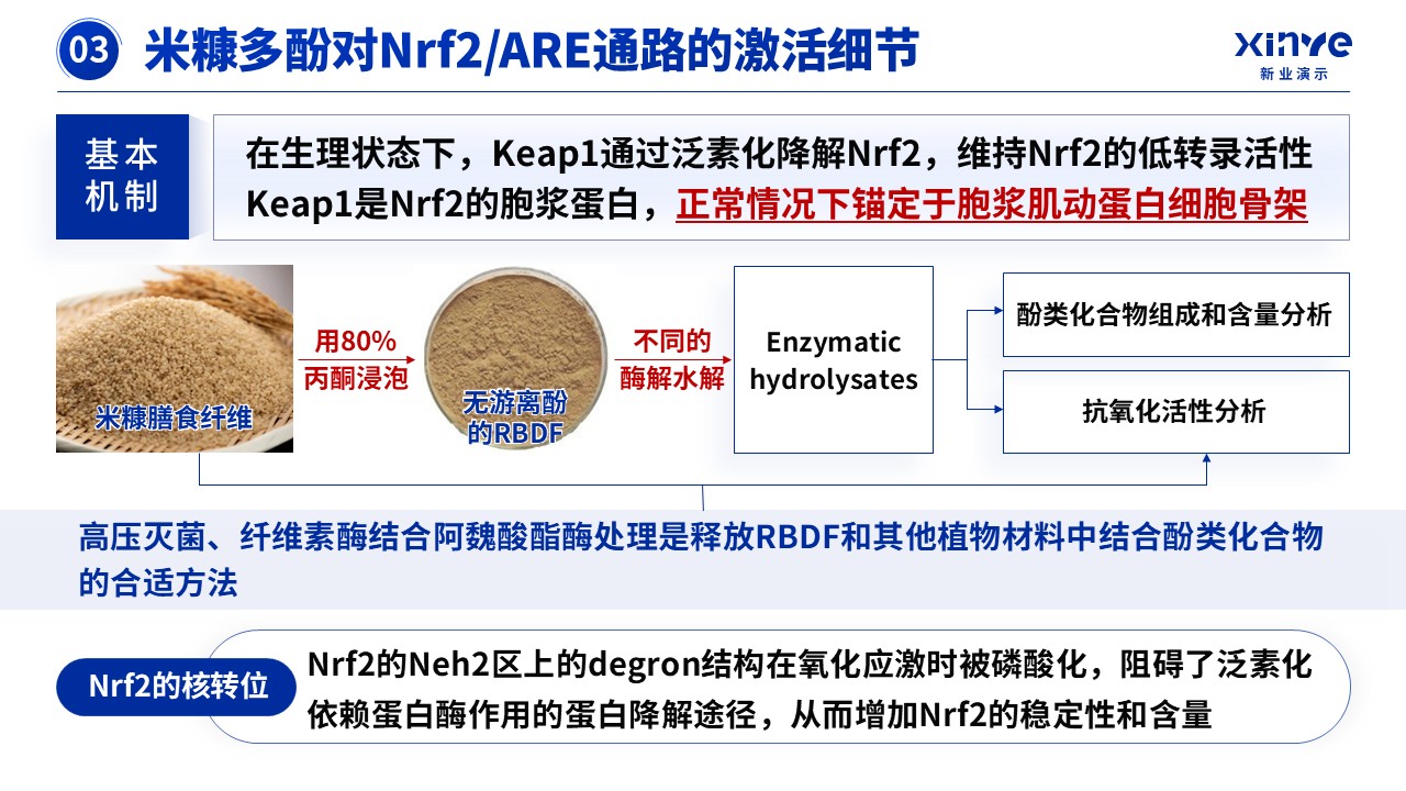 教授职称（米糠抗氧化-蓝色）第12页预览图